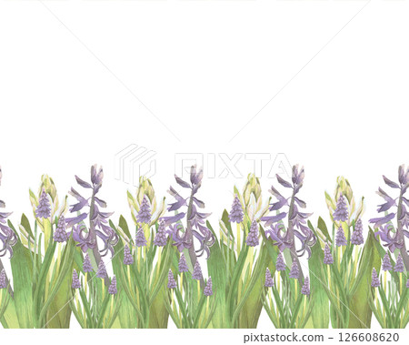 Seamless border of spring flowers watercolor illustration isolated on white. White and violet hyacinths hand drawn pastel tones for Easter cards, packaging and festive decor Seamless border of spring flowers watercolor illustration isolated on white. White and violet hyacinths hand drawn pastel tones for Easter cards, packaging and festive decor 126608620