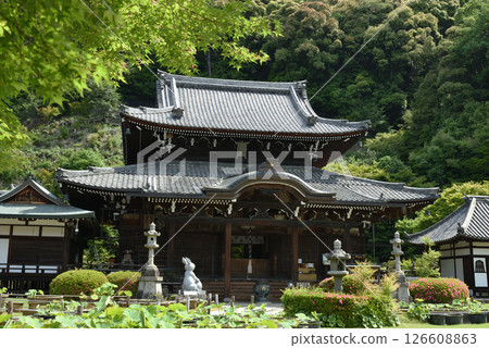 三室戶寺本堂（京都府宇治市） 126608863