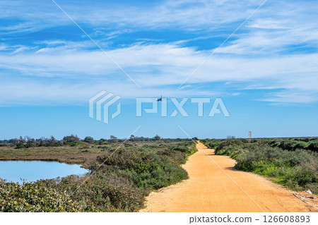 Landscape view of Parque Natural da Ria Formosa near Faro, Portugal 126608893