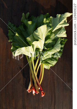 Fresh young rhubarb leaves on dark wooden table. Vegetarian food. Healthy plant. Top view. Fresh young rhubarb leaves on dark wooden table. Vegetarian food. Healthy plant. Top view. 126609127
