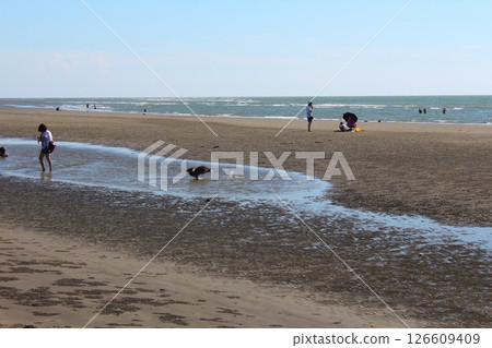 Beach 126609409