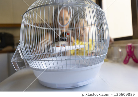Zebra finch perched in white cage with mother and child observing 126609889