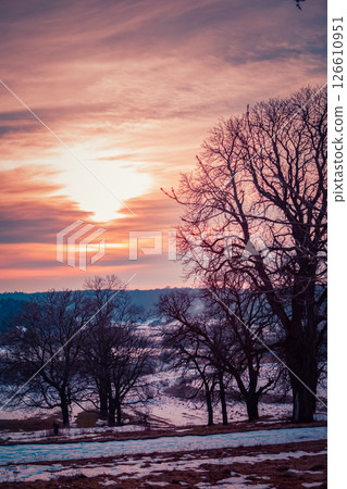 Beautiful Sunset Over Winter Landscape With Bare Trees and Pastel Sky Hues. 126610951