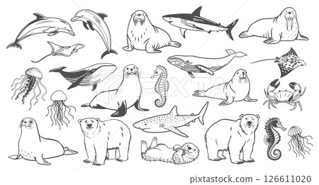 Set of hand drawn sea animals. Sketch black outline illustration. Set of hand drawn sea animals. Sketch black outline illustration. 126611020