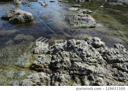 The rocky landscape of the Shonai coast where rocky shores of strangely shaped rocks continue The rocky landscape of the Shonai coast where rocky shores of strangely shaped rocks continue 126611389