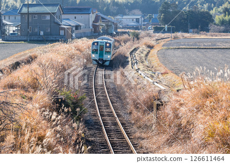 【牟岐線】行駛在田野間的普通列車 126611464