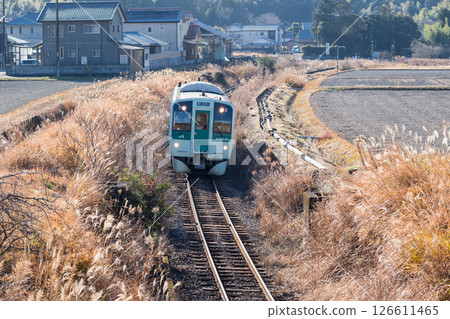 【牟岐線】行駛在田野間的普通列車 126611465