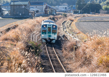 [Mugi Line] A local train running through the middle of the fields 126611466