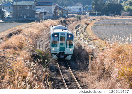 [Mugi Line] A local train running through the middle of the fields 126611467