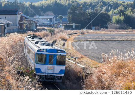 [Mugi Line] Express train running through the middle of the fields 126611480