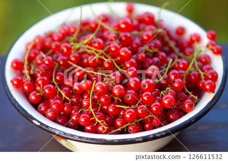 Ripe red currant berries in a cup. Ripe red currant berries in a cup. 126611532