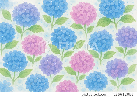 Hydrangea colorful background 126612095