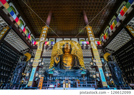 Interior view of the Great Buddha Hall, Katsuyama City, Fukui Prefecture 126612099