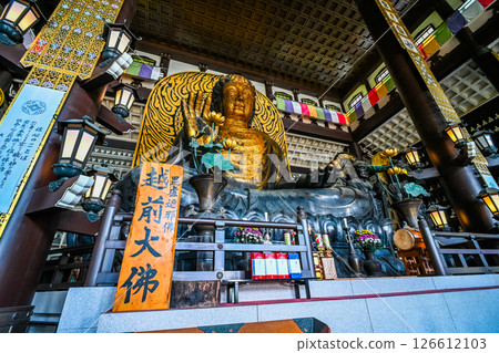Interior view of the Great Buddha Hall, Katsuyama City, Fukui Prefecture 126612103
