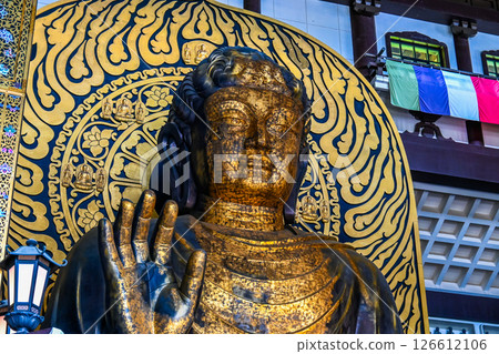 Close-up of the Echizen Great Buddha, Katsuyama City, Fukui Prefecture 126612106