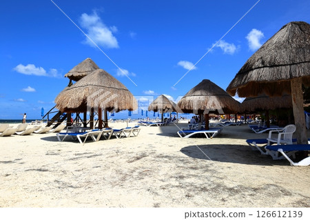 Dolphin Beach in Cancun, Mexico, Central America Dolphin Beach in Cancun, Mexico, Central America 126612139