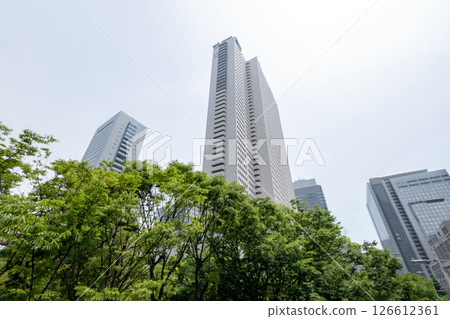仰望摩天大樓的綠色辦公區 仰望摩天大樓的綠色辦公區 126612361