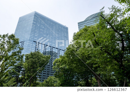 A view of a green office district looking up at skyscrapers 126612367