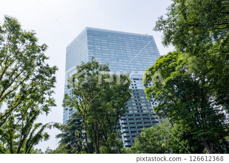 A view of a green office district looking up at skyscrapers 126612368