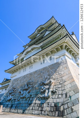 Katsuyama Castle and the Dragon on the Stone Wall, Katsuyama City, Fukui Prefecture 126612453