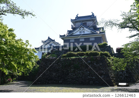 Echizen Ono Castle and stone walls, Ono City, Fukui Prefecture 126612463