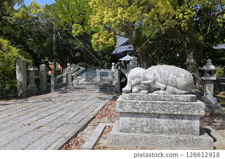 A white elephant in the grounds of Fugenji Temple. Behind the stone bridge is the Fugendo Hall (Hikari City, Yamaguchi Prefecture). 126612918