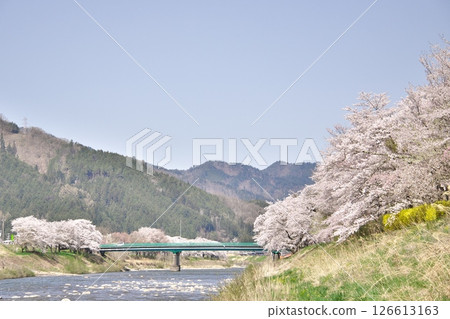 Sakurano Park, Takayama City, Gifu Prefecture 6 Sakurano Park, Takayama City, Gifu Prefecture 6 126613163