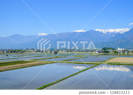 水田和北阿爾卑斯[北安積郡池田町] 126613211