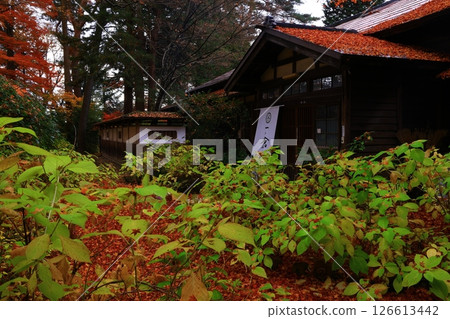 Autumn leaves Ichinokura residence 126613442