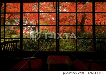 Autumn leaves Ichinokura residence 126613446