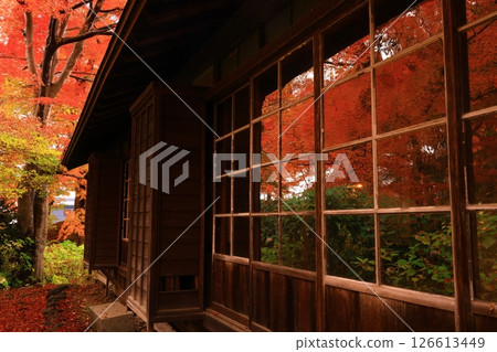 Autumn leaves Ichinokura residence Autumn leaves Ichinokura residence 126613449