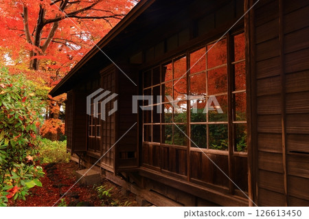 Autumn leaves Ichinokura residence 126613450