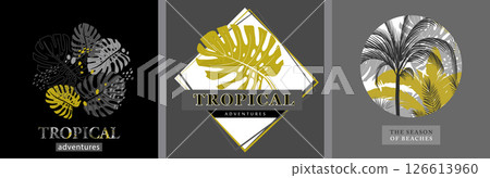 set of tropical templates with monstera leaves and inscriptions 126613960