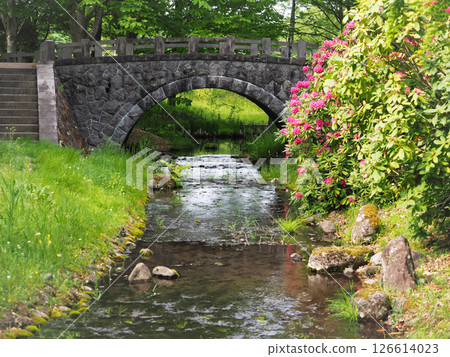 美麗的綠色和花卉風景，有石橋和流水 126614023