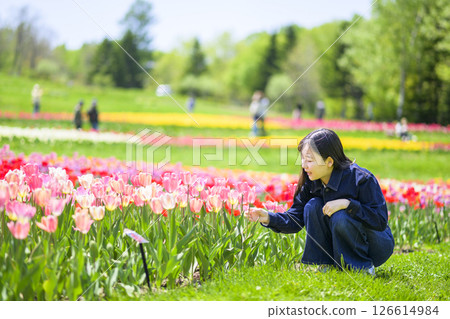 A young woman sightseeing in a tulip field 126614984