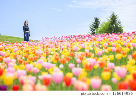 A young woman sightseeing in a tulip field 126614986