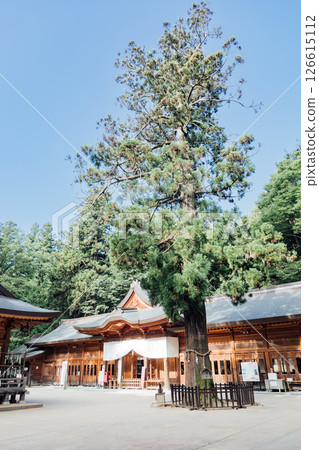 <安曇野> 穗高神社、本殿、拜殿及小洋杉 <安曇野> 穗高神社、本殿、拜殿及小洋杉 126615112