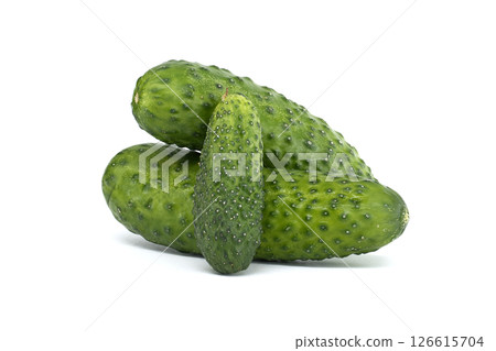 Fresh Green Cucumbers Isolated on White Background in Close-Up View Fresh Green Cucumbers Isolated on White Background in Close-Up View 126615704