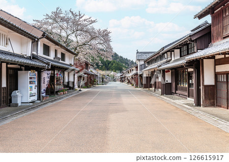 福井縣若狹町若狹熊川宿 - 櫻花盛開的傳統建築保護區 126615917