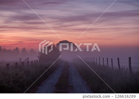 A Serene and Misty Pathway Revealing Its Incredible Beauty at Sunrise in the Peaceful Countryside 126616289