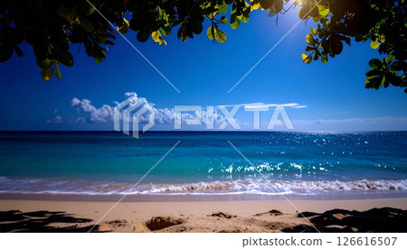 White sand beach, blue sea and sky seen from the shade White sand beach, blue sea and sky seen from the shade 126616507