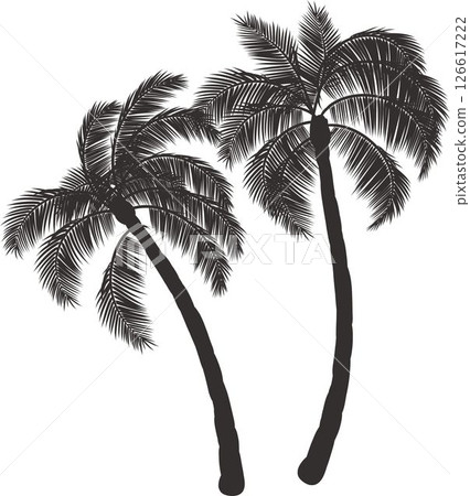 Silhouette coconut tree on white background 126617222