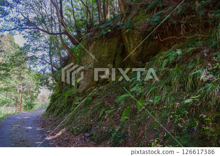 一條狹窄的山路，有著裸露的巨石 126617386