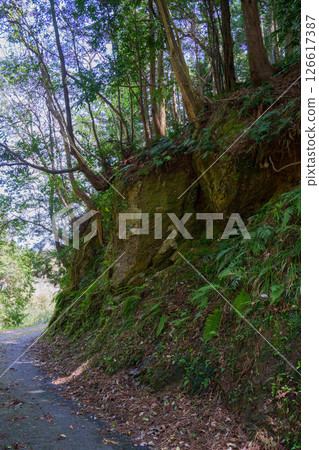 一條狹窄的山路，有著裸露的巨石 126617387