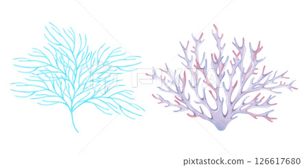 Branched blue, purple coral. Watercolor and marker illustrations. Ocean coral reefs, underwater animals of the seabed. Hand drawn isolated art. Exotic plants for travel guides, children's design Branched blue, purple coral. Watercolor and marker illustrations. Ocean coral reefs, underwater animals of the seabed. Hand drawn isolated art. Exotic plants for travel guides, children's design 126617680