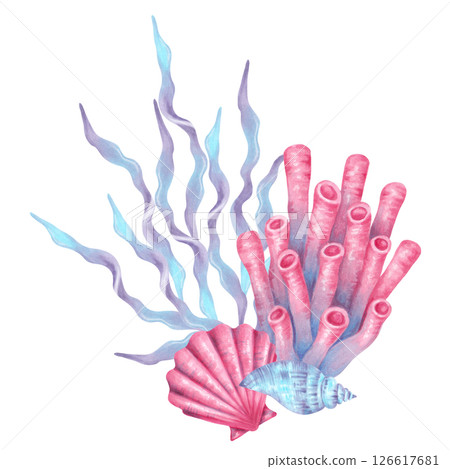 Tube coral, seaweed, scallop and spiral sea shell. Coral reef composition. Watercolor and marker illustrations. Hand drawn isolated art. Underwater seabed animal for children's design, guidebook Tube coral, seaweed, scallop and spiral sea shell. Coral reef composition. Watercolor and marker illustrations. Hand drawn isolated art. Underwater seabed animal for children's design, guidebook 126617681