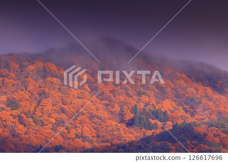 岩手縣奧州市燒石山 126617696