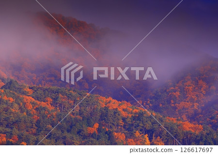 Mt. Yakeishi in Oshu City, Iwate Prefecture 126617697