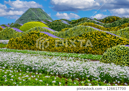 Flower garden Flower garden 126617700