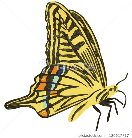 蝴蝶向量圖 126617717